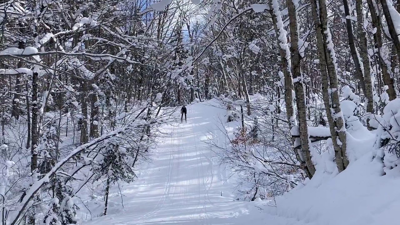 Cross country skiing at Mt. Van Hovenburg 2/1/2021