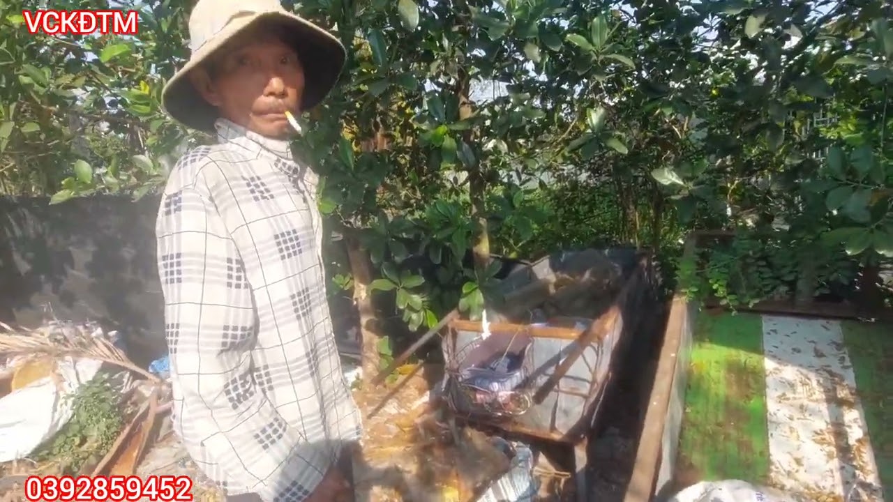 Không biết sức khỏe cậu Tám như thế nào mà khiến cậu tái nhợt
