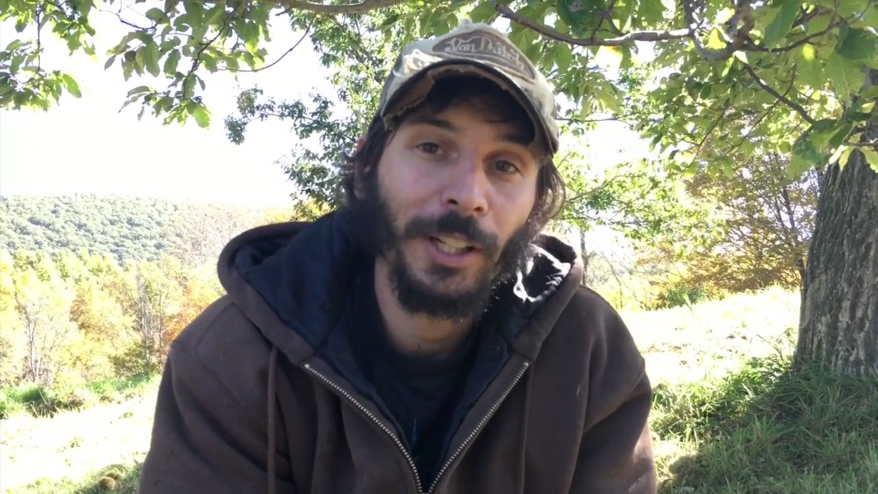 Part 1   The Chestnut Grove