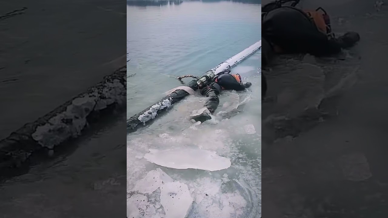 &rdquo;Become a Commercial Diver&rdquo; they said #shorts
