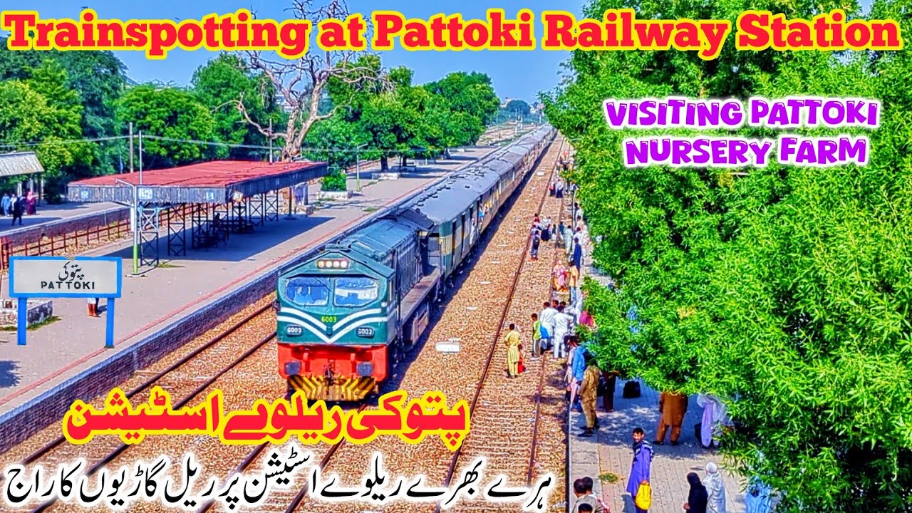 Pattoki Railway Station Review & Trainspotting | Visiting Pattoki Nursery Farm