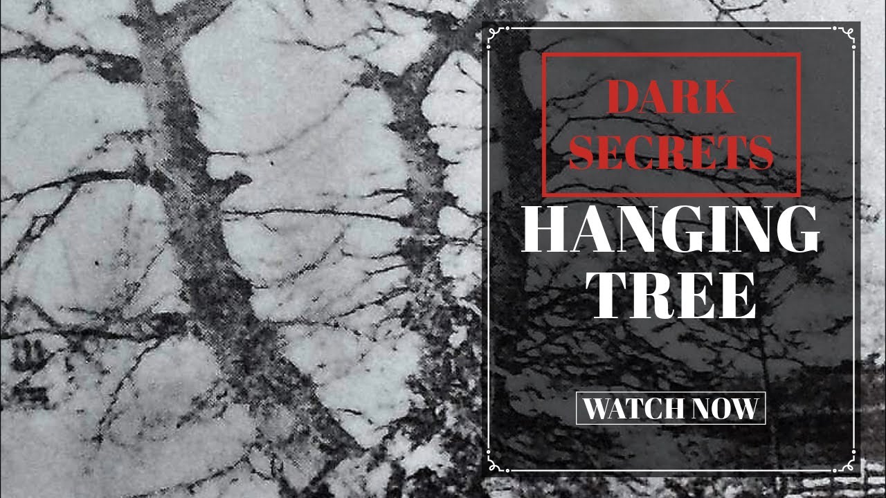 Chard's Hanging Tree: A Journey Through Time and Terror