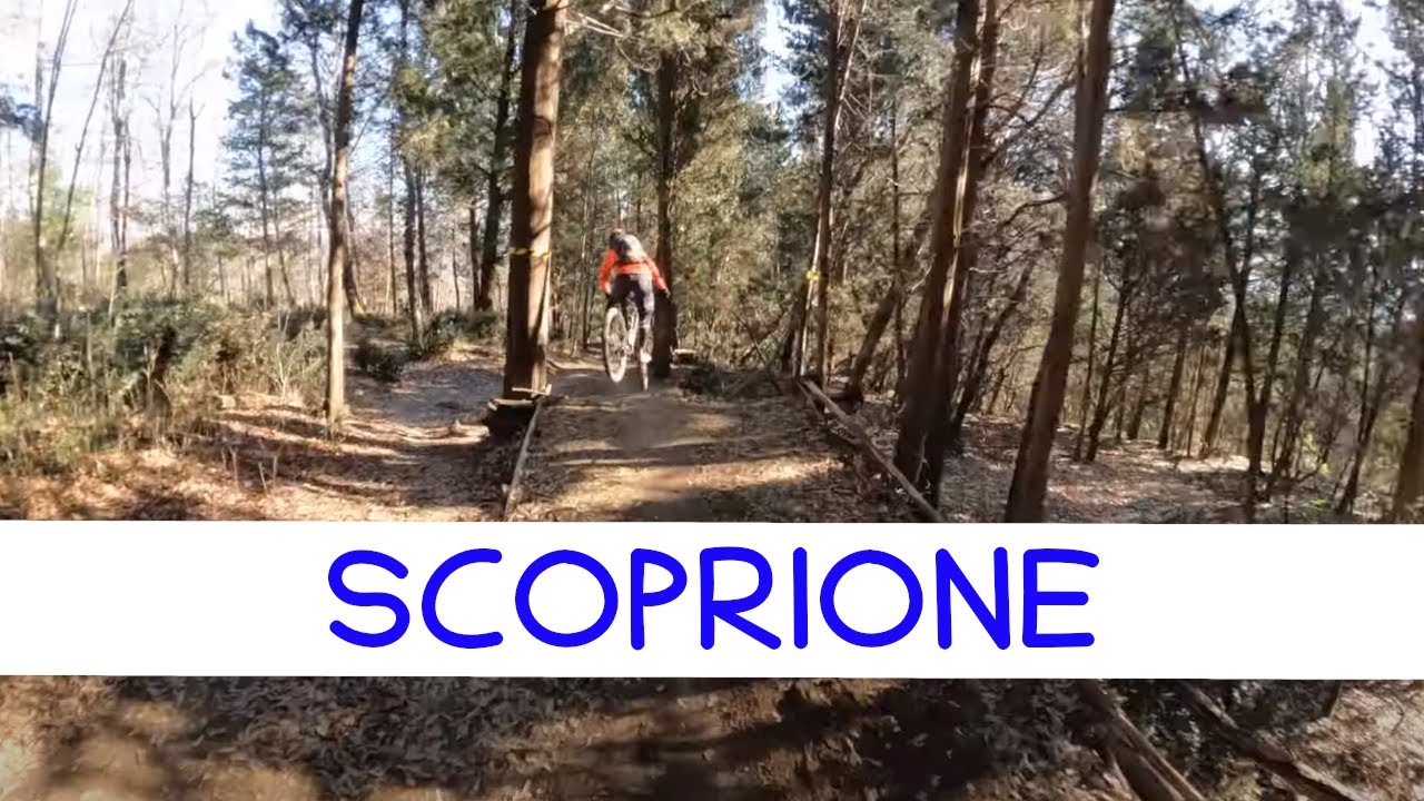 MTB Travalle 11.02.2023 sentiero SCORPIONE