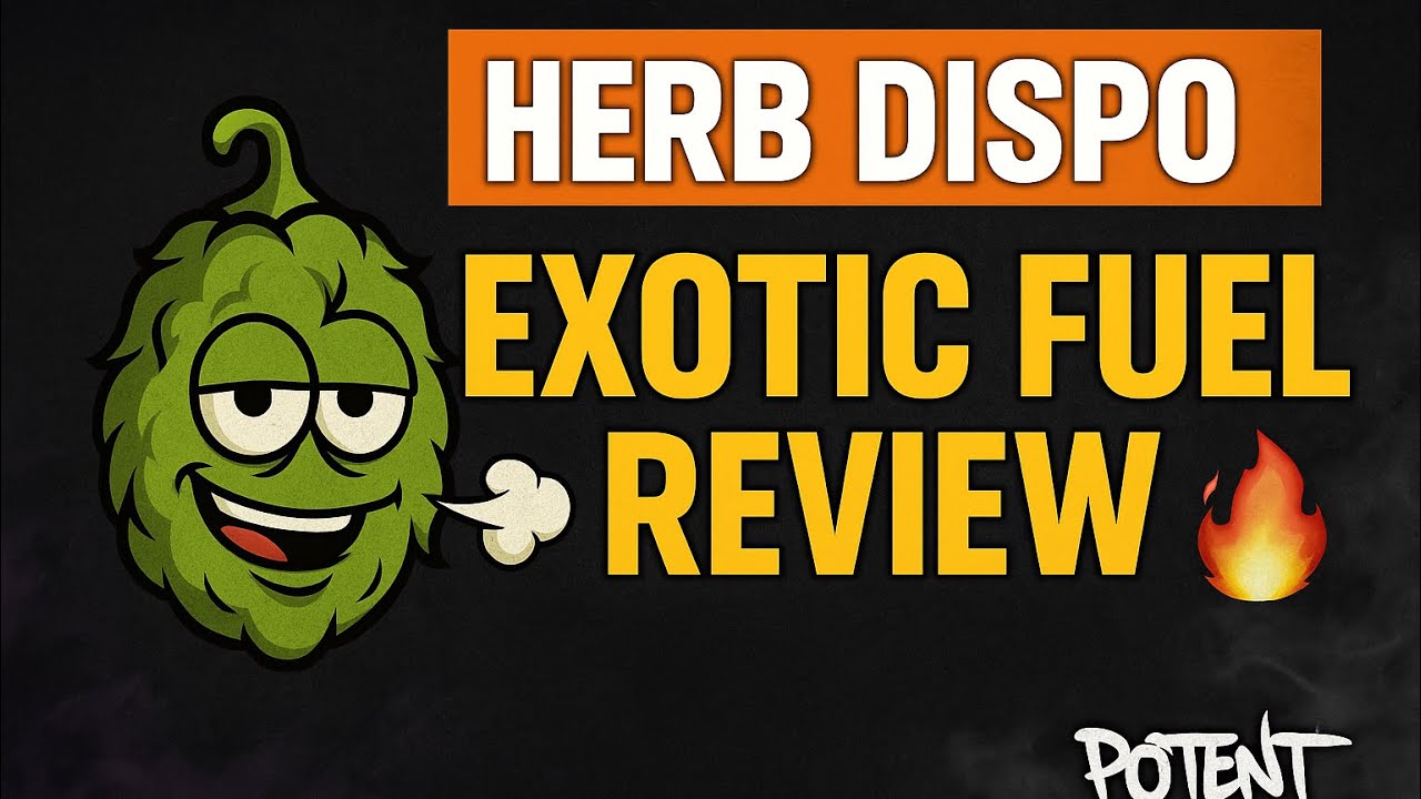 HERB DISPO EXOTIC FUEL strain Review 💨 | Loud Gas or Hype? Potent Perspectives Breaks It Down!