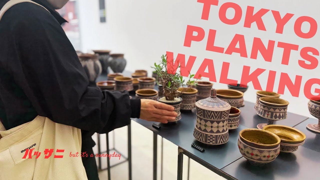 【東京植物散歩】いま、ふたたびのtacson.！KINOCO EE3でまたもや神引きの娘！購入した鉢を紹介します