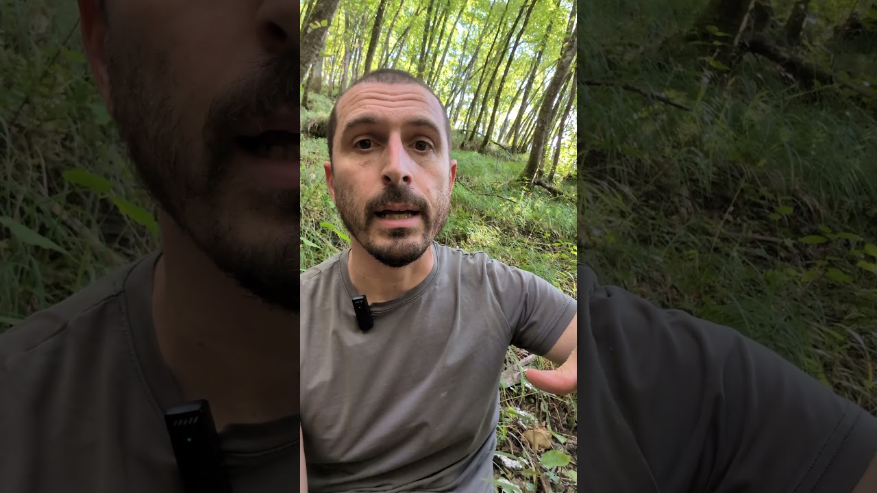 Le migliori batterie per le fototrappole #fototrappolaggio #trailcamera