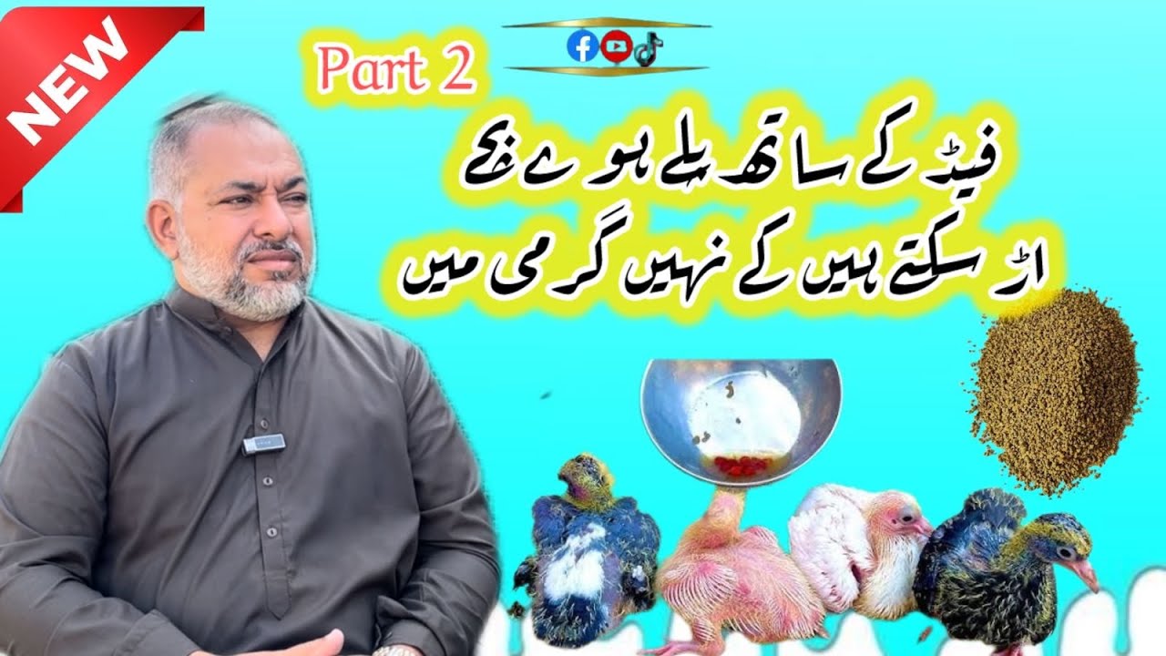 Ustad Waqas uAE wale // part2