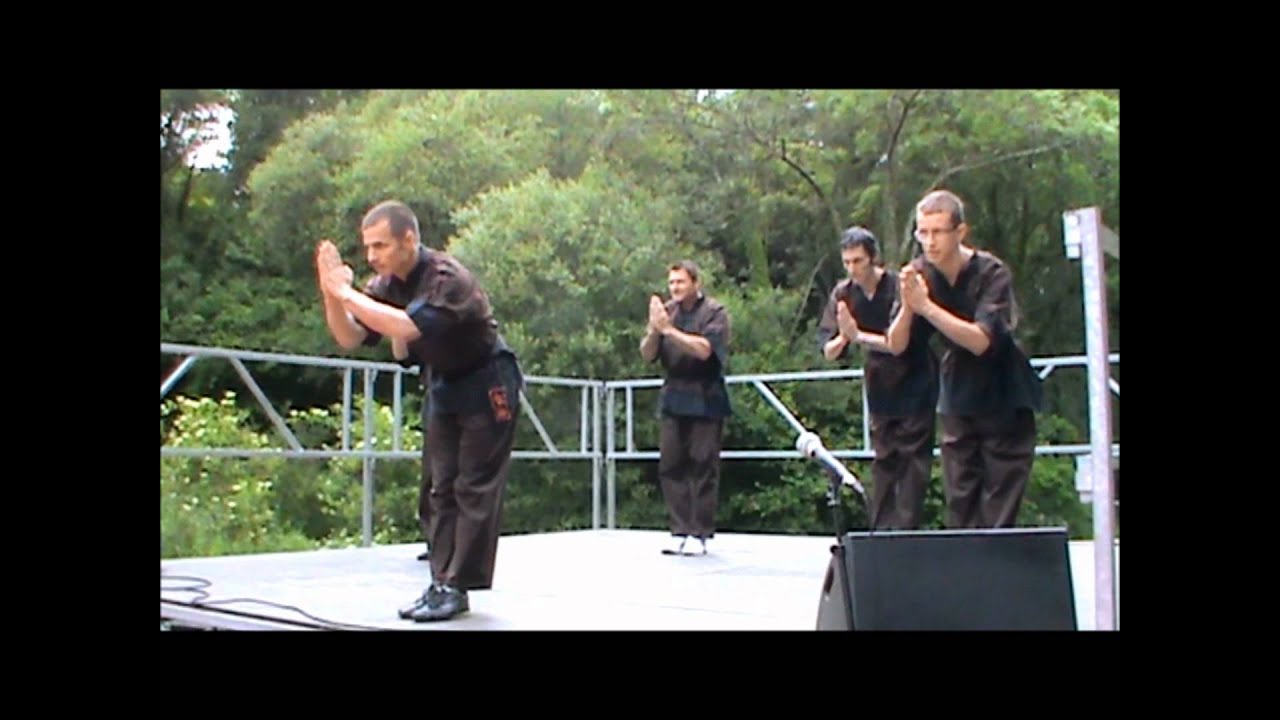 Auray - Vo vietnam - Võ Son Long - cours 2011/2012