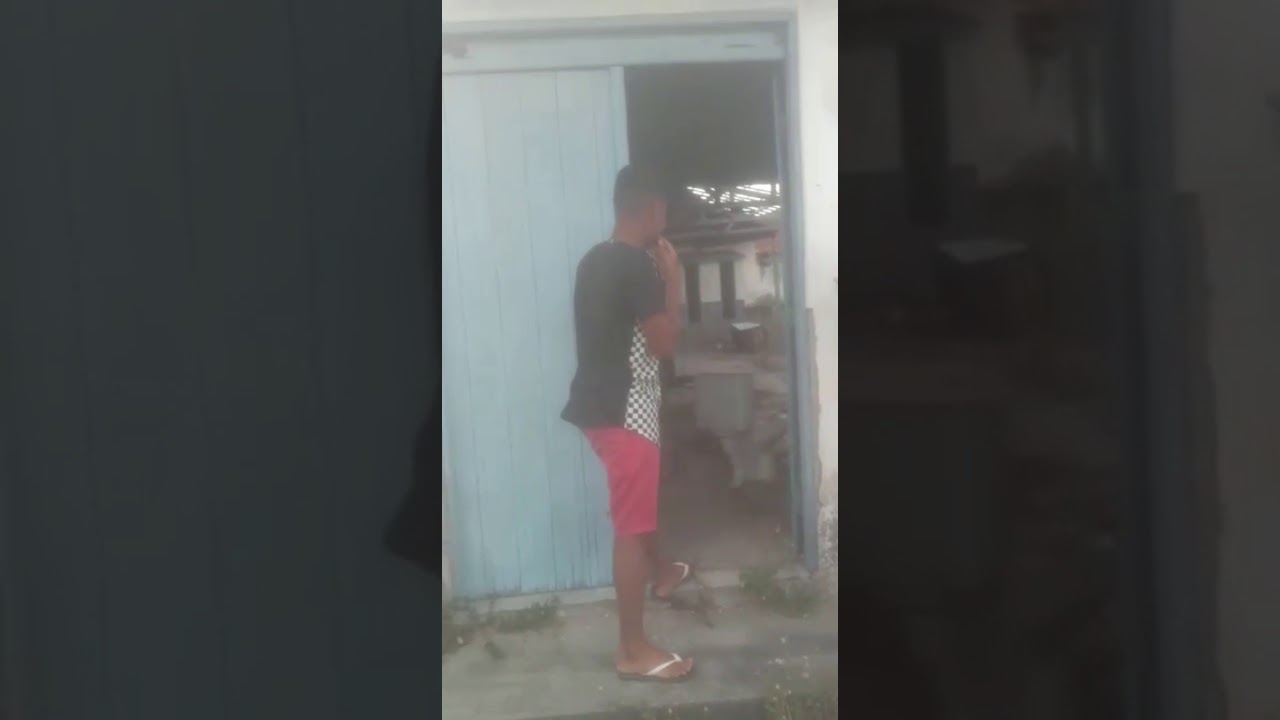 Desafio do marimbondo