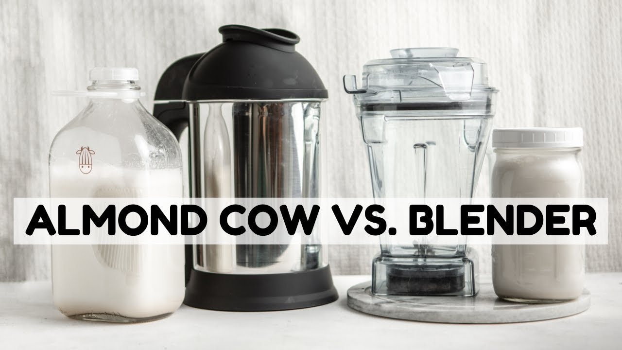 What Makes the BEST Nut Milk? | Almond Cow Review