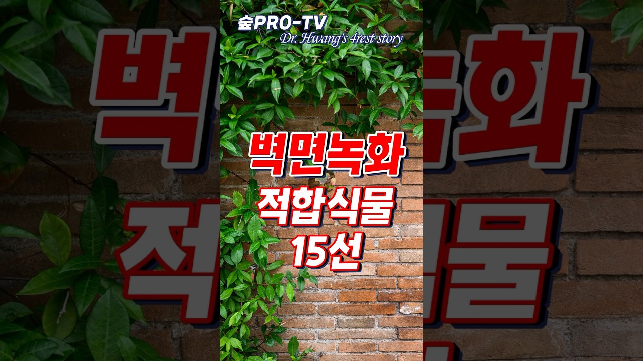 벽면녹화 적합식물 15선 #벽면녹화 #벽면정원 #덩굴식물