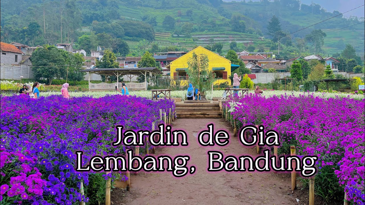 KEBUN BUNGA VIRAL DI LEMBANG BERASA LAGI DI SWISS - JARDIN DE GIA LEMBANG