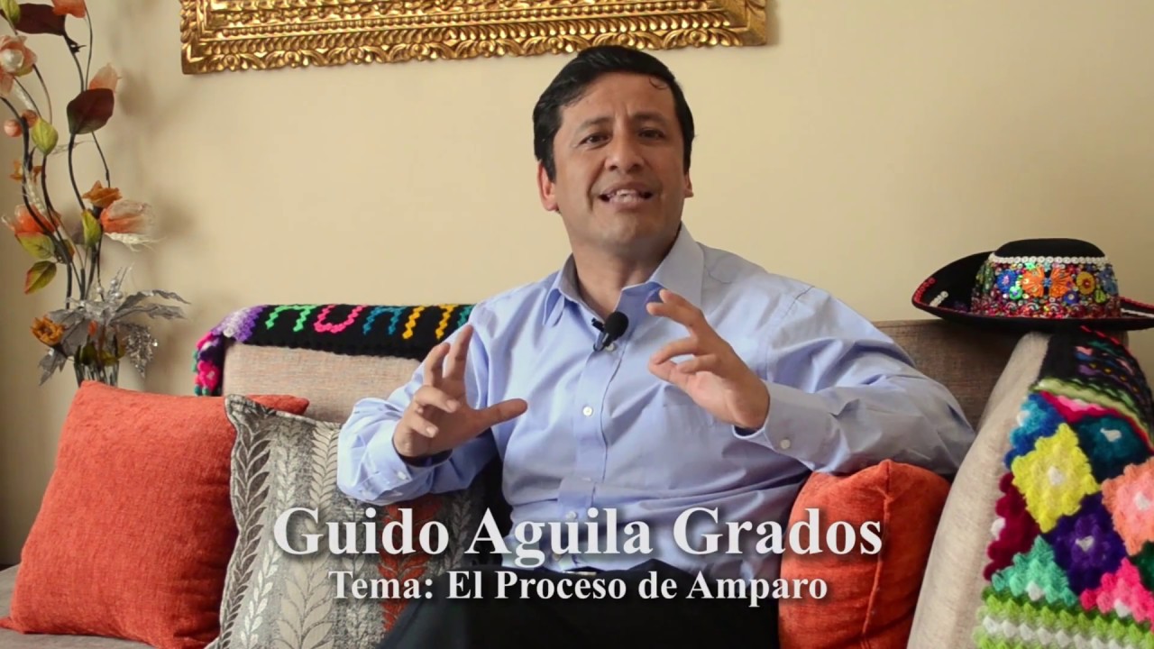 EL PROCESO DE AMPARO - Tribuna Constitucional 07- Guido Aguila