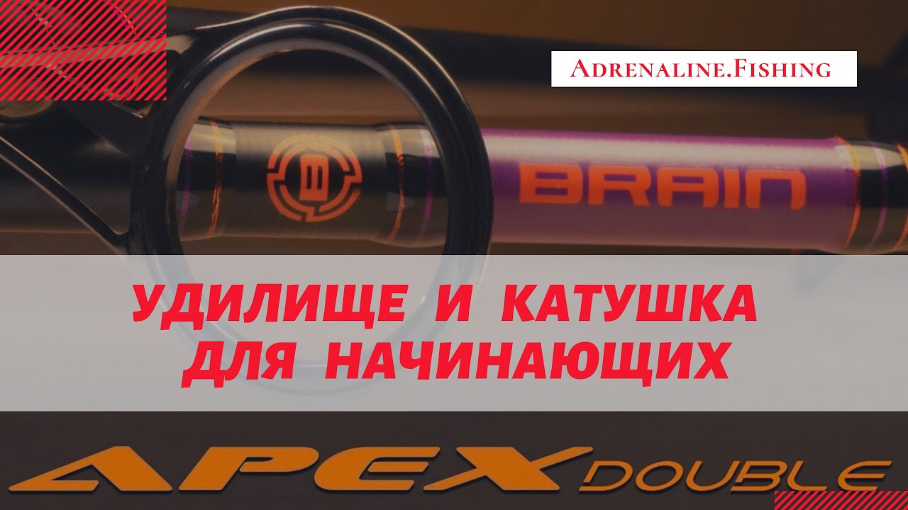 Brain Apex double і Brain Scout - Набір для початківців короп'ятників.
