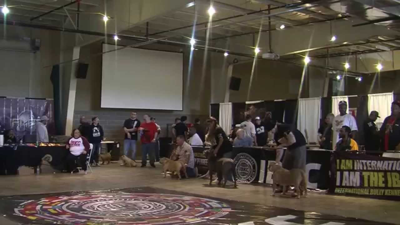 IBKC Midwest Spring Bling - 4/11/2015 - Elkhart Indiana
