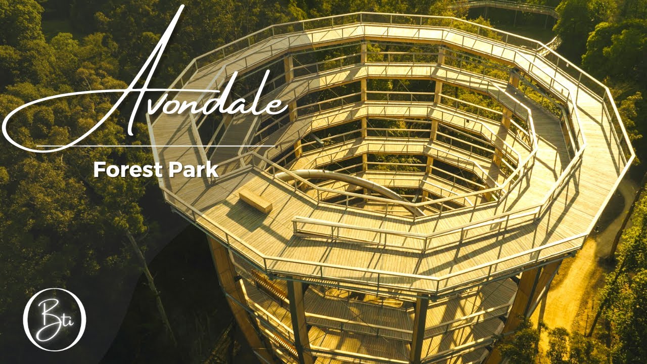 AVONDALE TREETOP WALK & VIEWING TOWER | BEYOND THE TREES | IRELAND | 4K