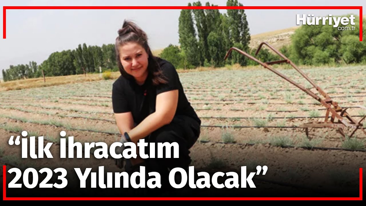 Bankacılığı Bıraktı, Ölmez Otu Yetiştirmeye Başladı!