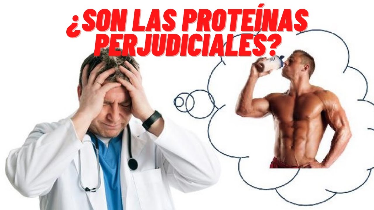 ¿SON LAS PROTEÍNAS SEGURAS PARA LA SALUD? ¿Y LOS BATIDOS?