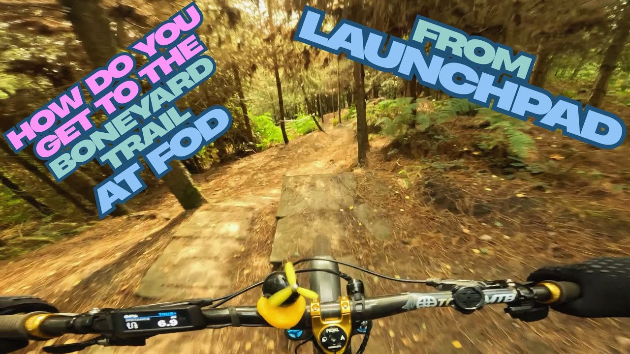 Как добраться до тропы Boneyard в FOD. Часть 2 | Как добраться до Boneyard в FOD | #mtb #singletrac