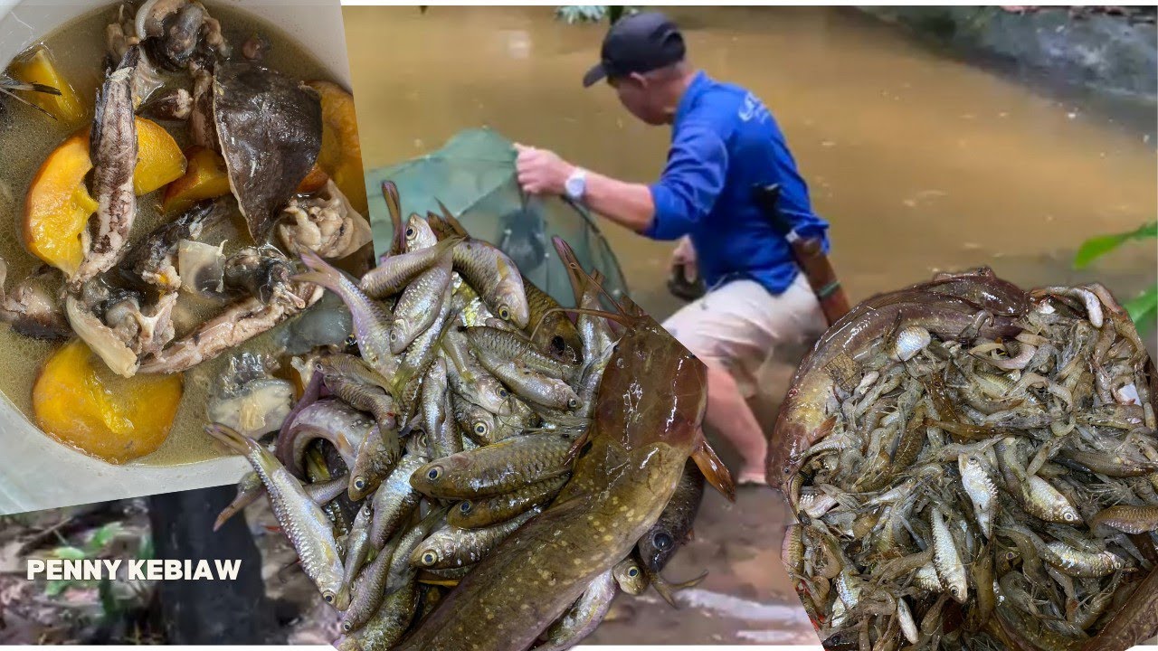 Bubu Payung Memang Padu! Hasil Ikan Sungai Segar, Terus Masak Sup dan goreng. 