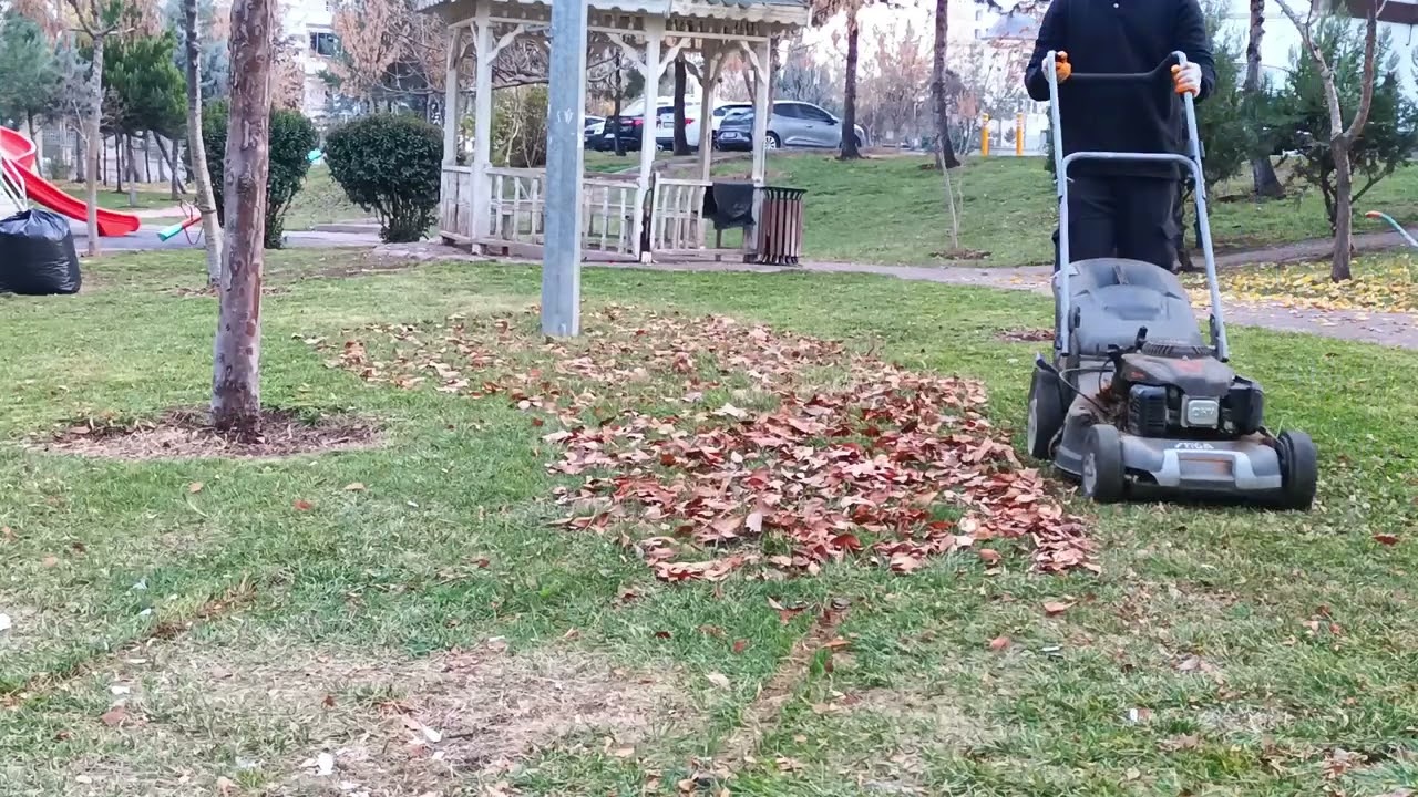 Rahatlatıcı Bir Çim Biçimi