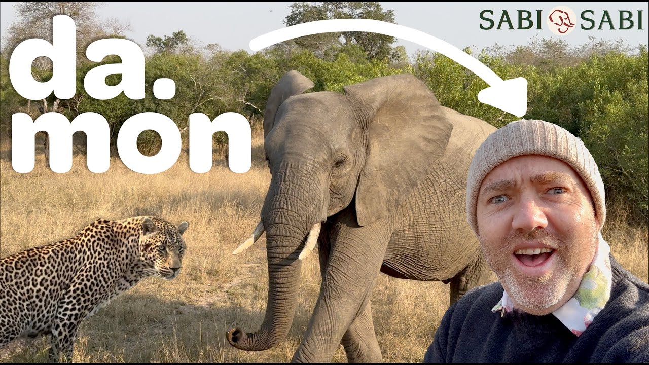 Epic African Safari @ 5 Star - Sabi Sabi Earth Lodge