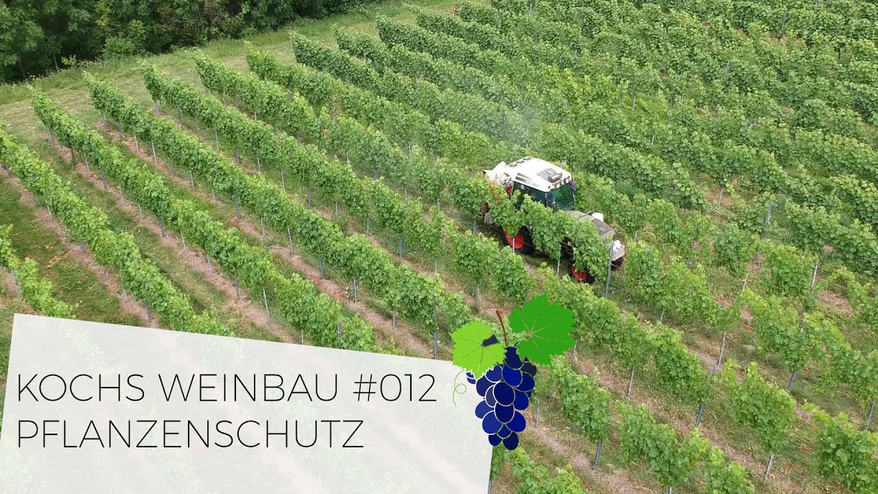 Pflanzenschutz | #012