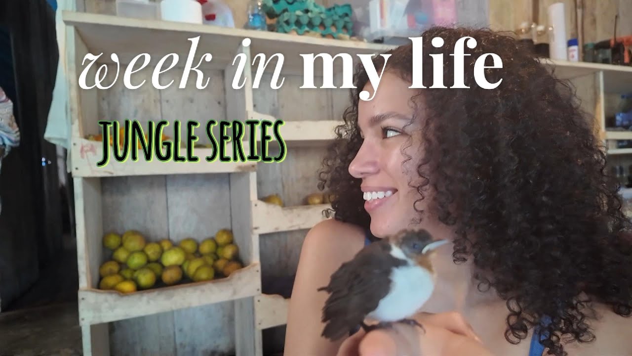 a week in my life VLOG  - jungle series