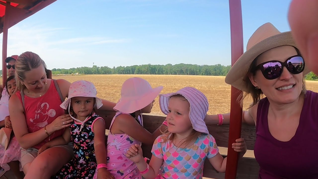 Strawberry picking 2021