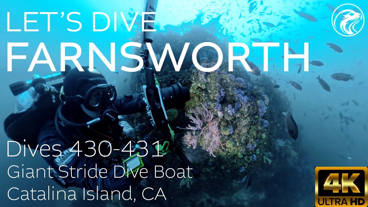 SCUBA Let's Dive: Farnsworth Bank With The Giant Stride Dive Boat - Catalina Island, CA, 2025 - 4k