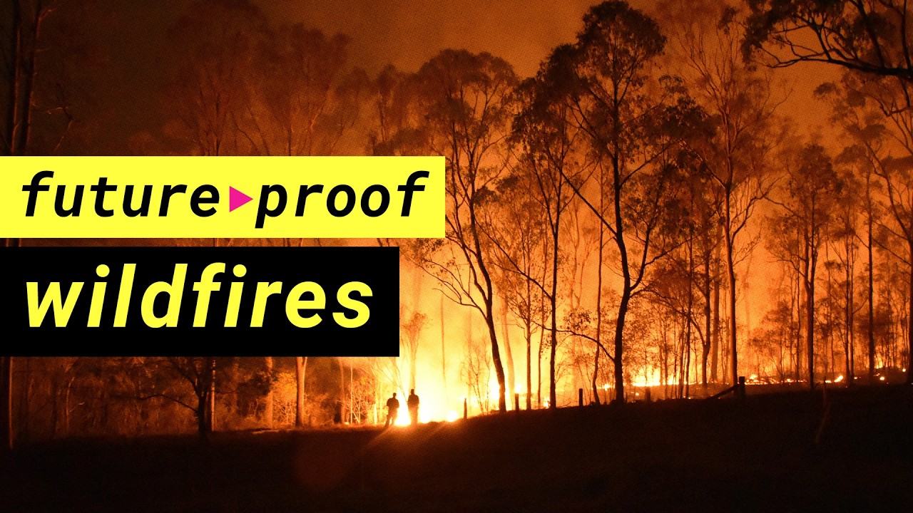 Why wildfires are becoming impossible to control | LSE Research