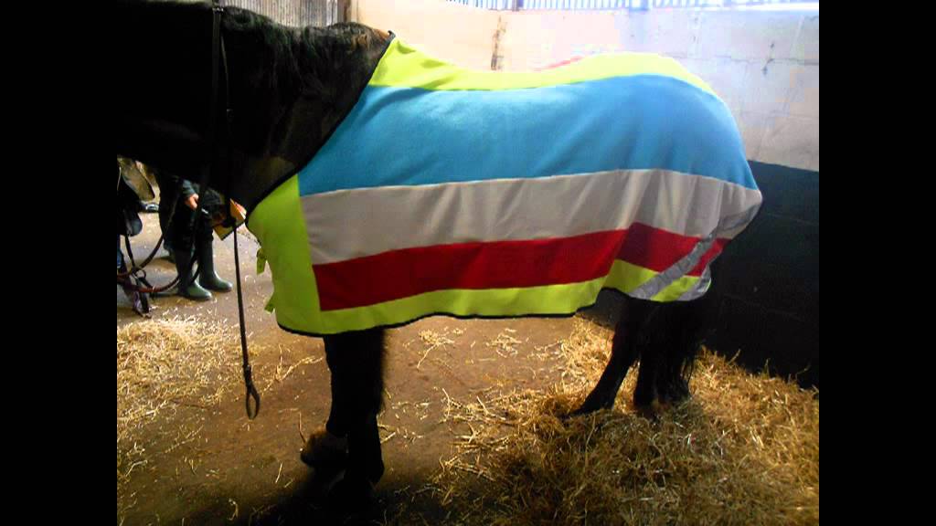 Home Made Full Sized Horse Rug