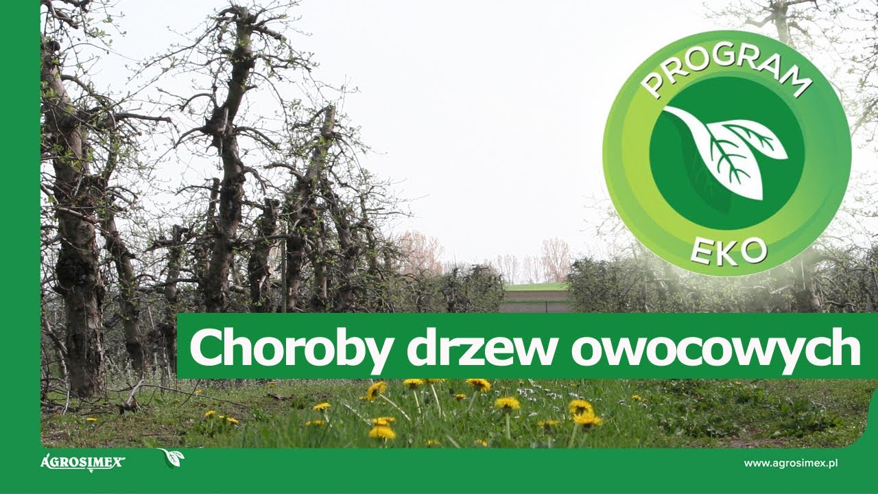 Ekologiczne sadownictwo - ochrona przed chorobami