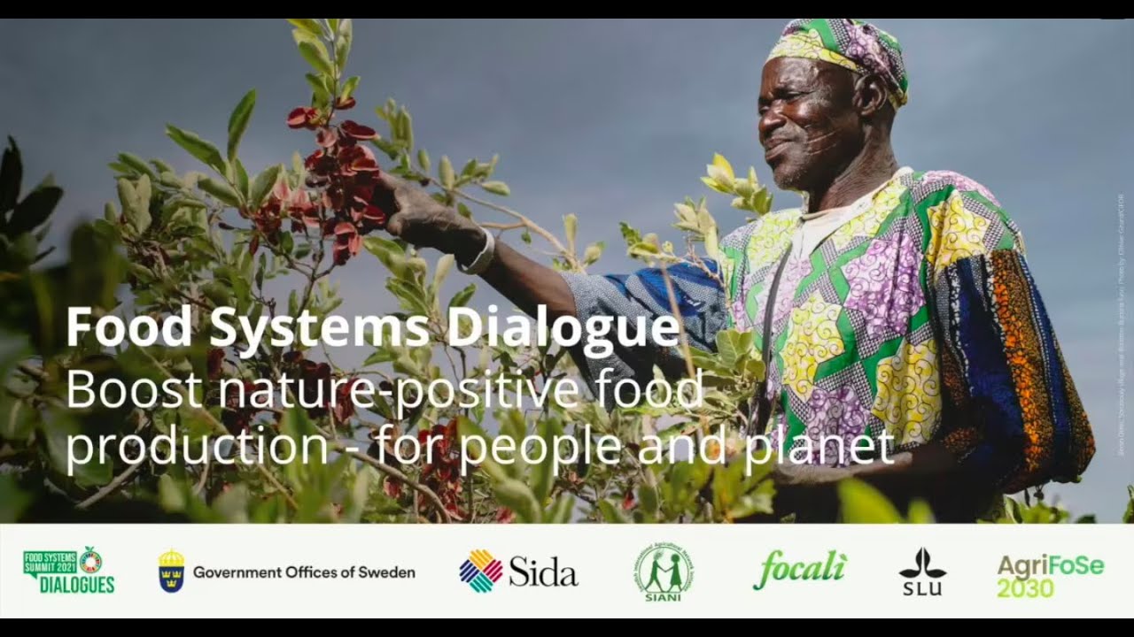 Sweden's Global Food Systems Dialogue: Boost Nature-Positive Food Production | SIANI