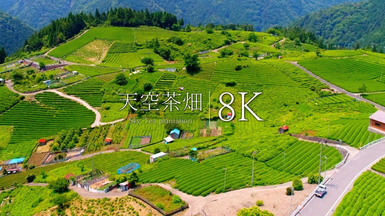 【まるでマチュピチュ】天空の茶畑の絶景を訪ねて - Gifu Japan in 8K UHD