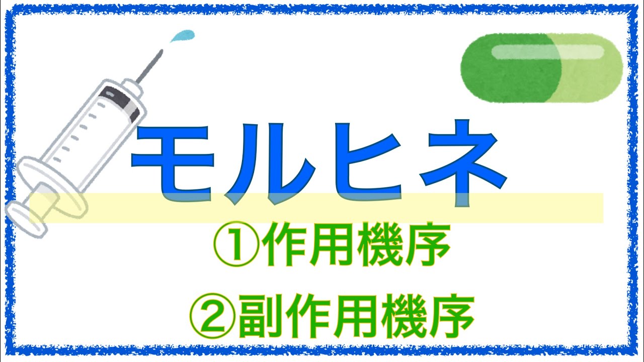 教科書をわかりやすく！「モルヒネの作用・副作用機序」〜呼吸抑制や嘔吐はなぜ起こる？〜