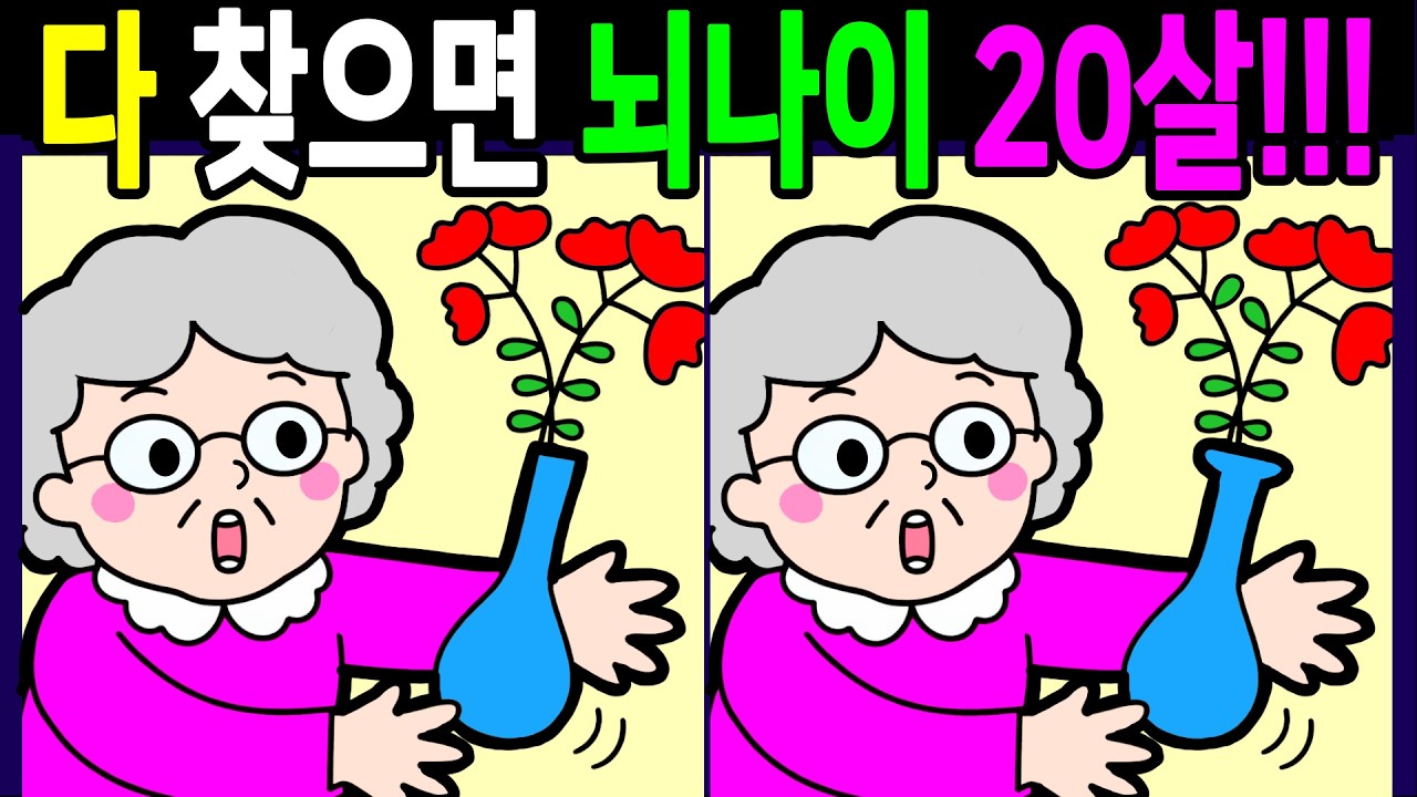 뇌세포를 자라게 하는 퀴즈! 다찾으면 뇌나이 20대! 뇌나이 테스트 30분 복습 다른그림찾기 【숨은그림찾기/두뇌운동/치매예방/ Find Difference 間違い探し】