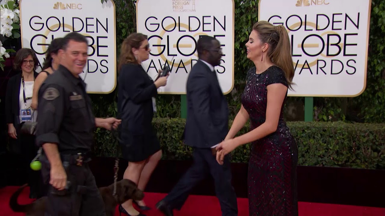 Carly Steel Fashion - Golden Globes 2016