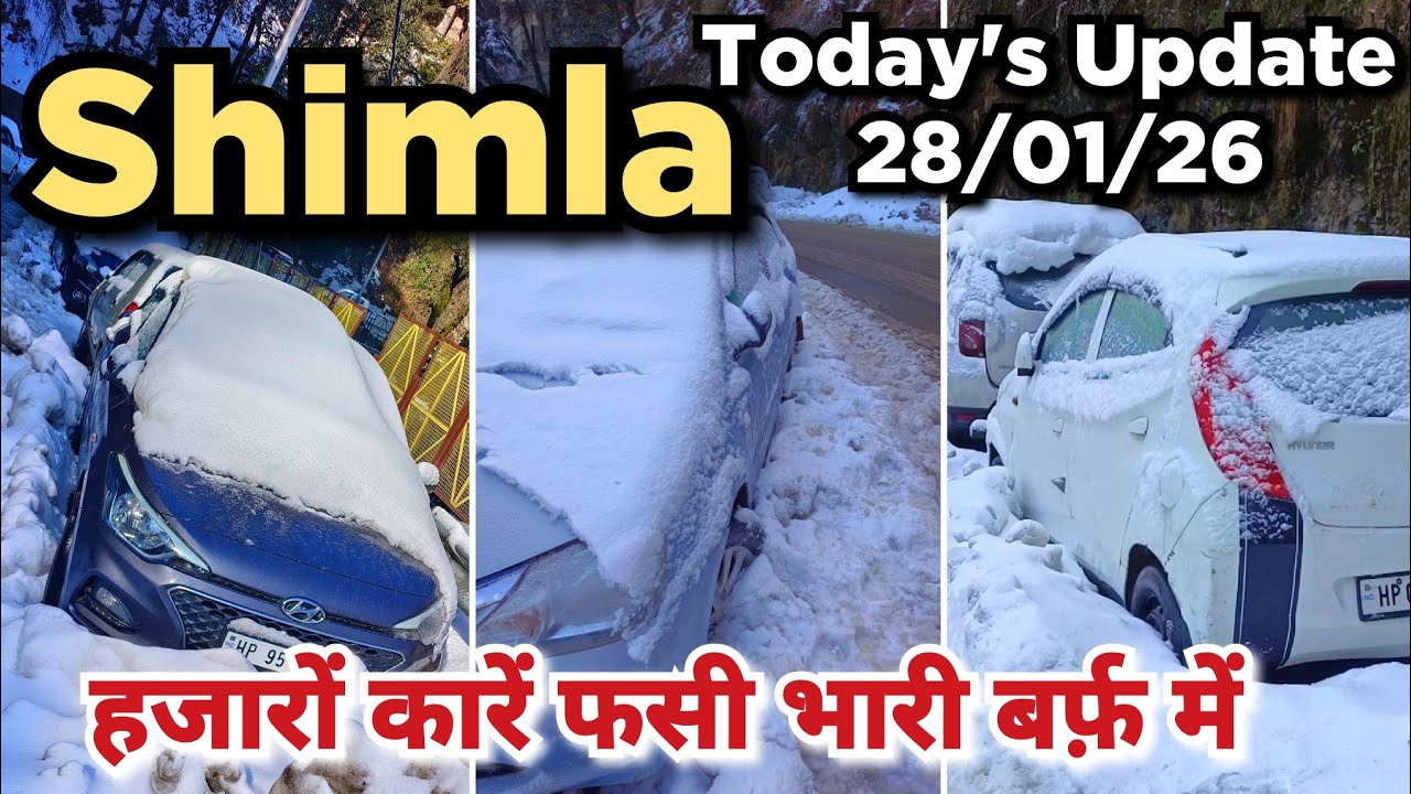 शिमला में लोकल्स की गाड़ियों की हालत खराब Shimla Life after Snowfall #shimlasnowfallvideo #shimla 