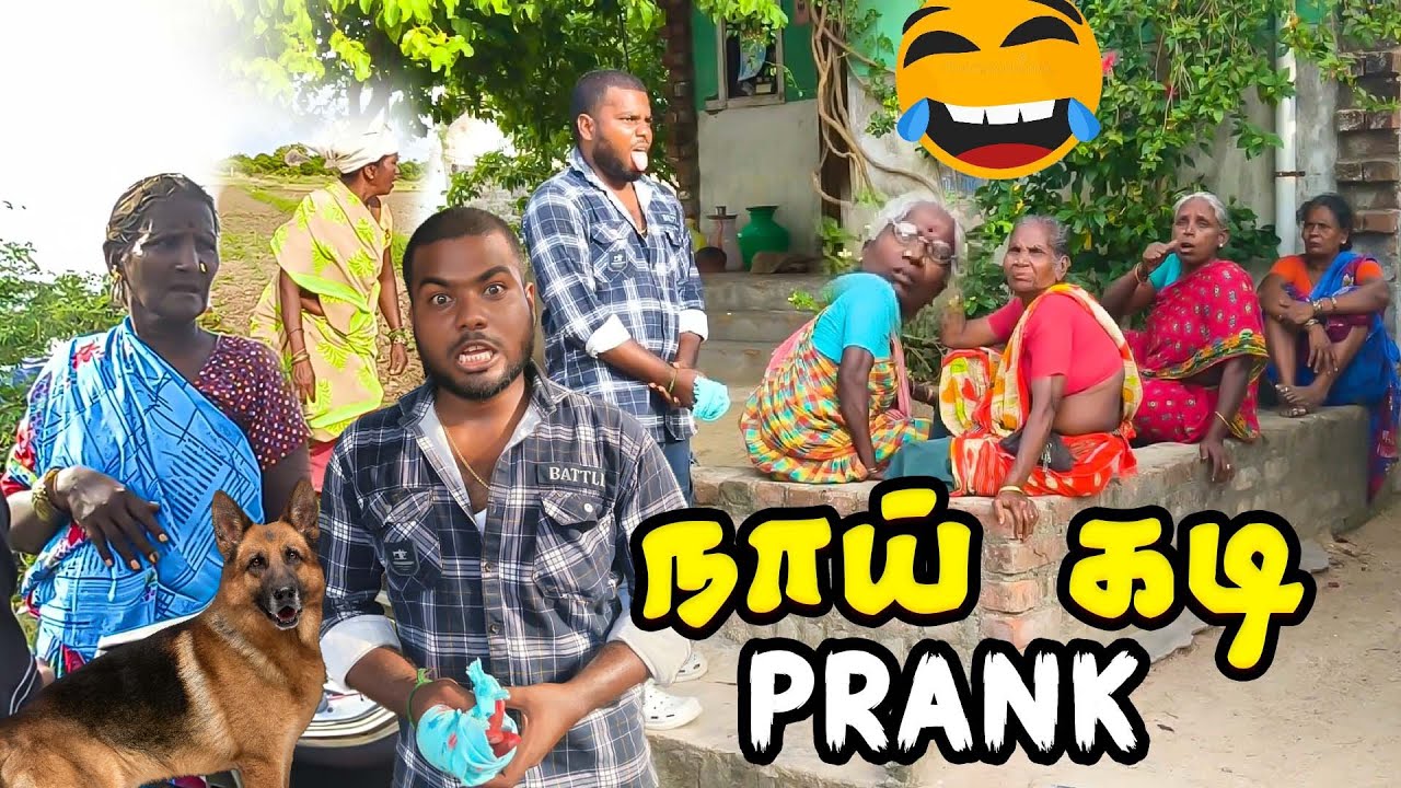 நாய் கடைசிடிச்சி  பாட்டி |  நாய் கடி prank 😂  | Thani katchi | Dharma Comedy video 😂
