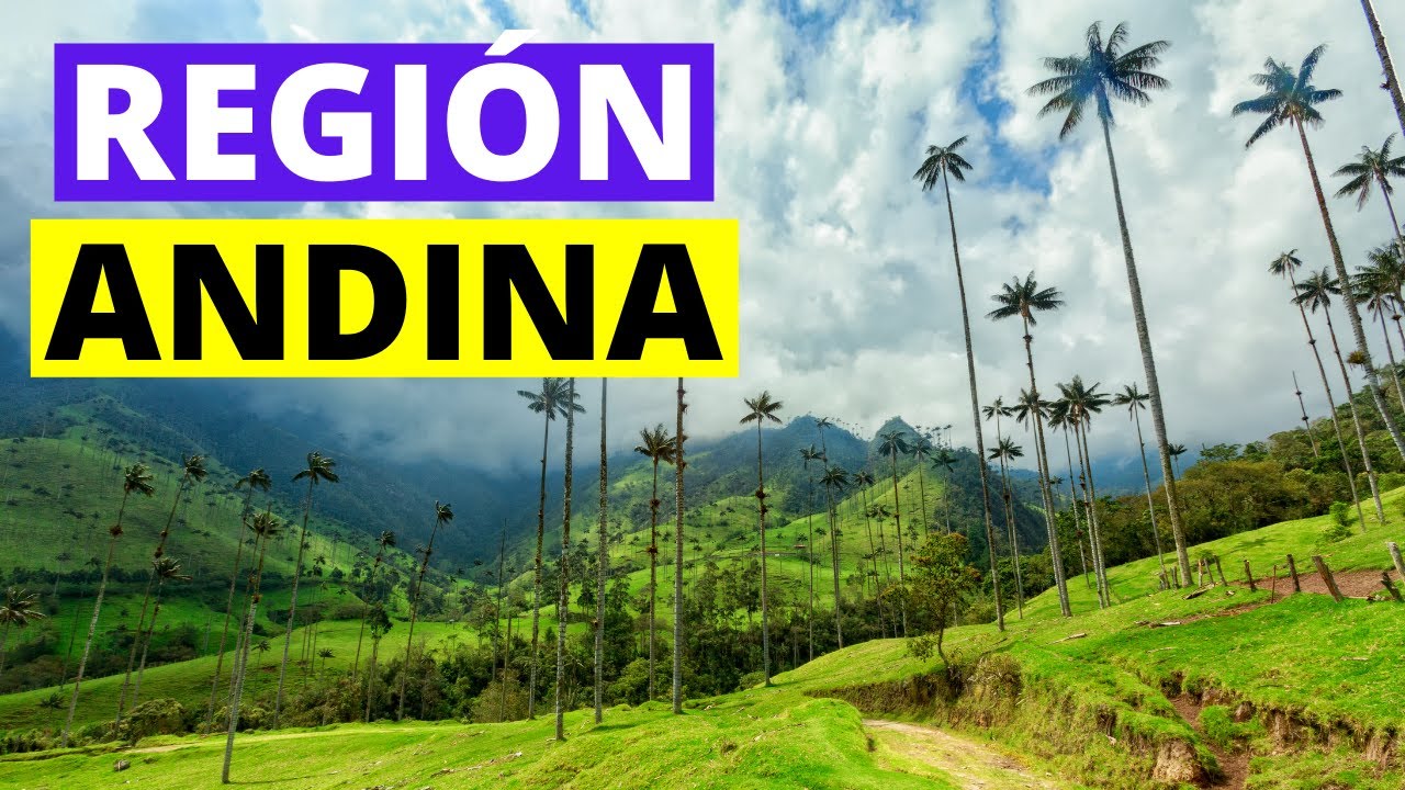 La REGIÓN ANDINA colombiana: flora, fauna, clima, características