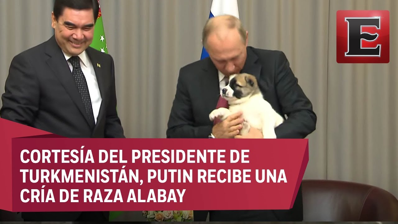 Putin se derrite por un cachorro que le regalaron