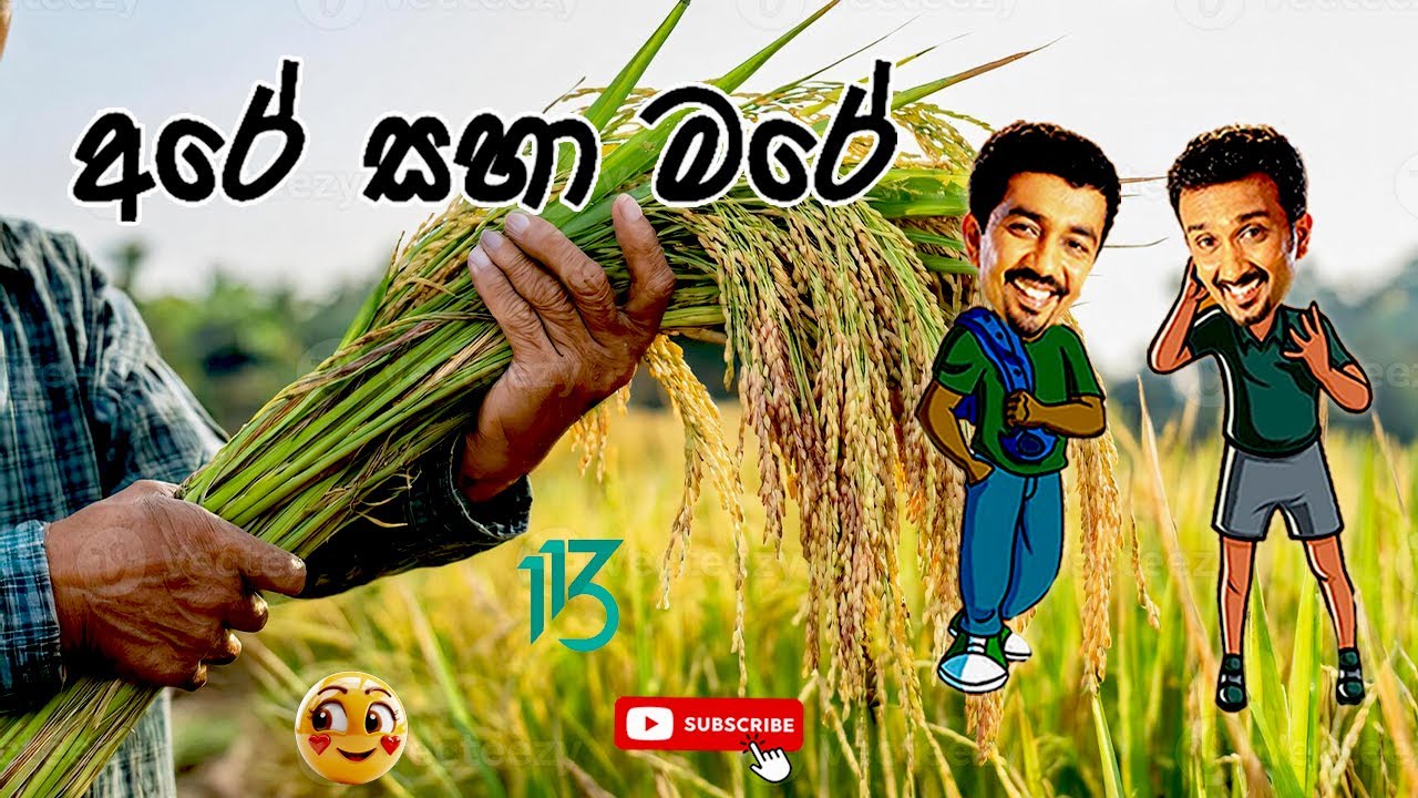 Sinhala Comedy 113 | අරේ සහ මරේ | Are saha Mare | Chooty Malli Podi Malli | Sinhala Jokes
