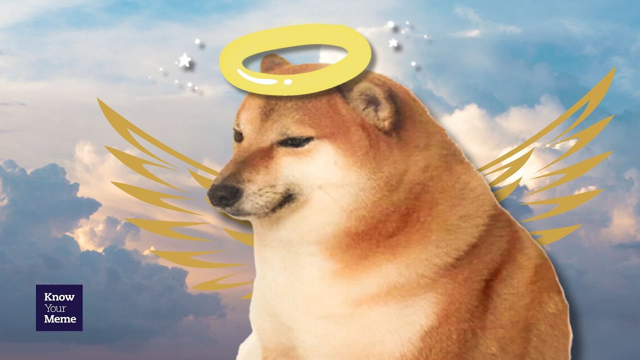 Beloved Meme Dog, Cheems Crosses The Rainbow Bridge