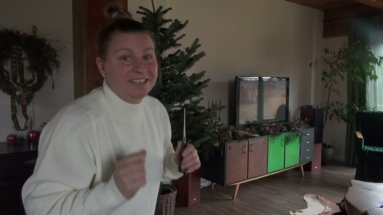 Jaka choinka? w 