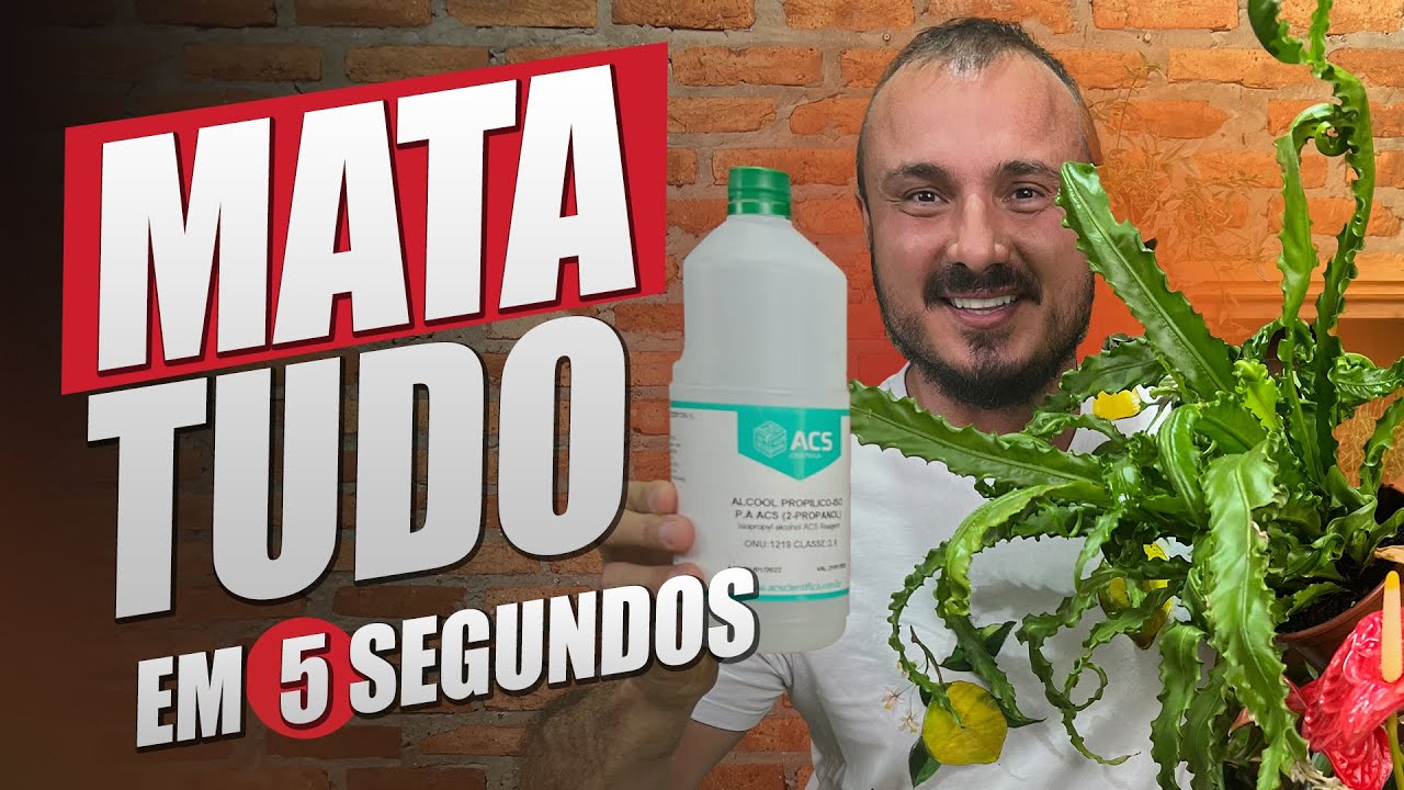 MATA TUDO em segundos | Cochonilha, Ácaros, Pulgão, Formiga e outras PRAGAS