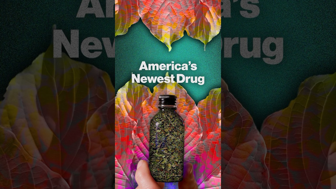 The Growing Toll of America's Booming Kratom Industry