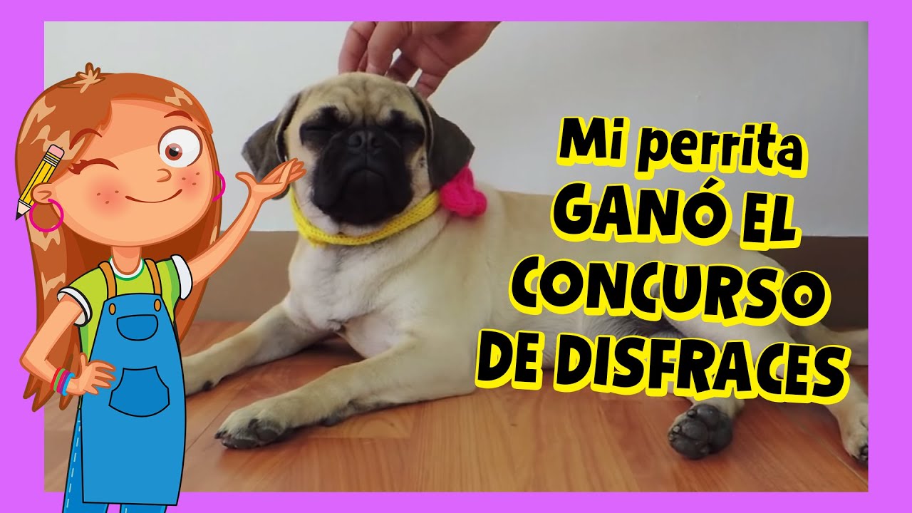 DISFRACES PARA MASCOTAS N1 / MI ALEGRIA