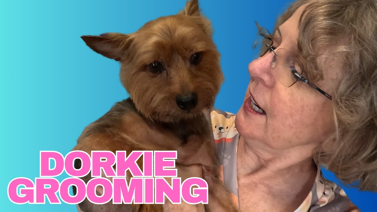 Grooming This Tiny Screaming Dog | Dorkie | Sammy