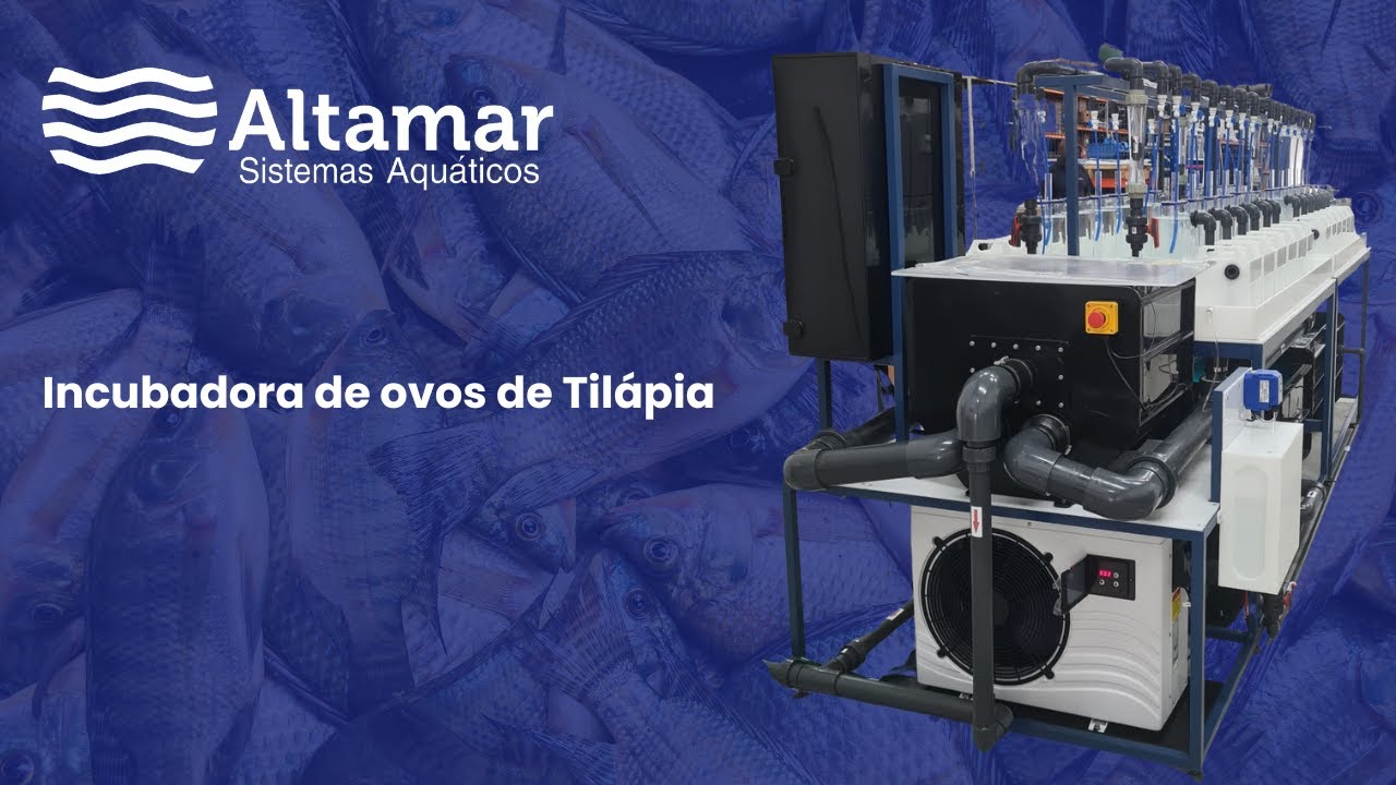 Incubadora de Ovos de Tilápia - Altamar Sistemas Aquáticos